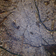 Illustration for article titled Can You Identify These Cities Based on How They Look from Space?